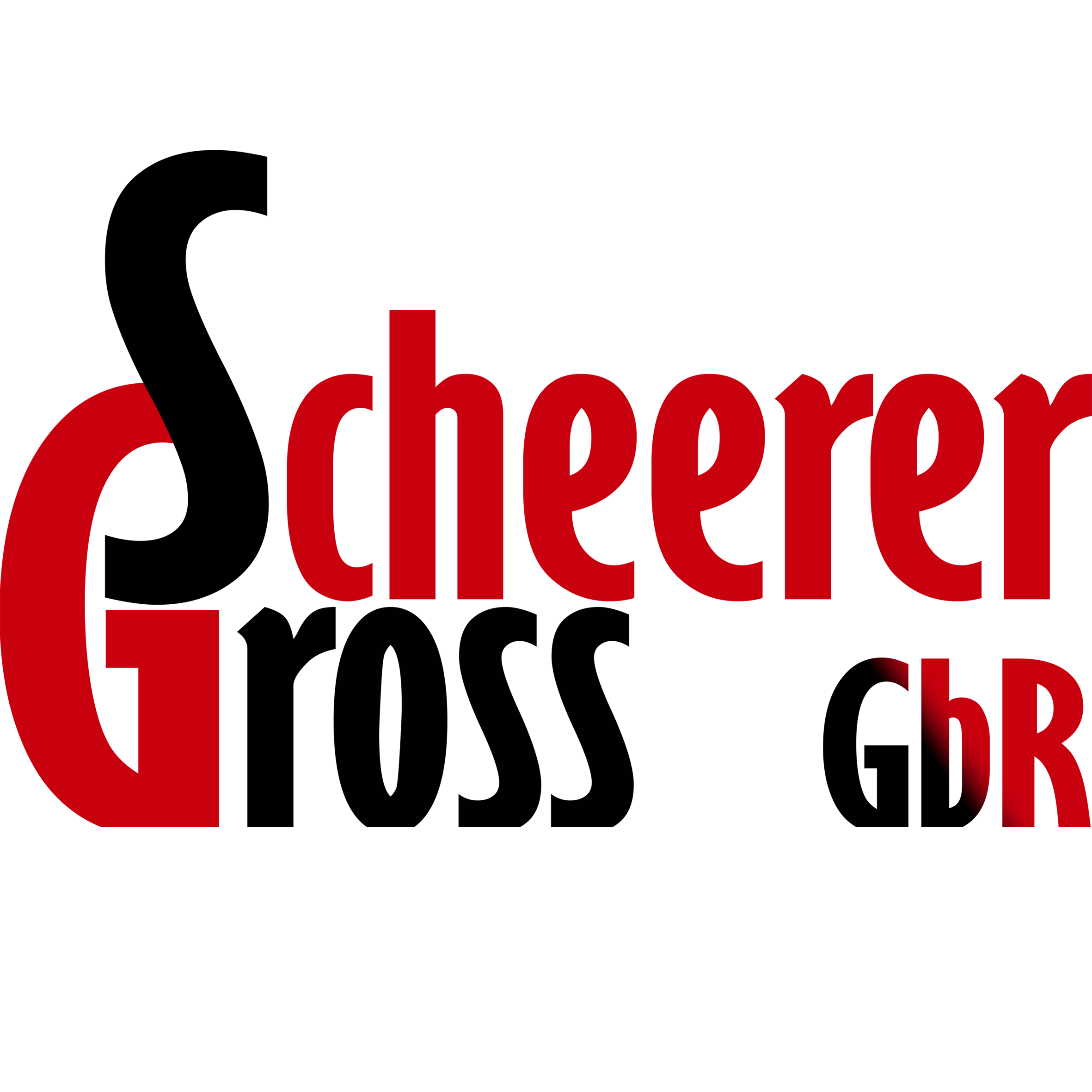 Scheerer und Gross Logo